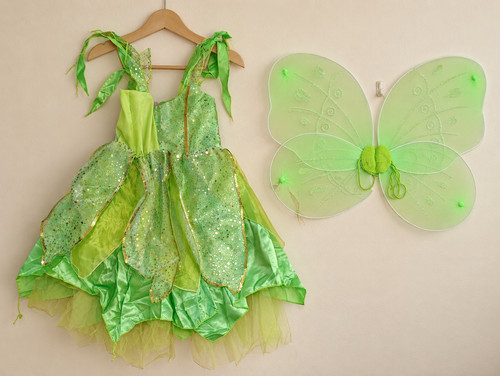 Green fairy fancy dress - fancy,
