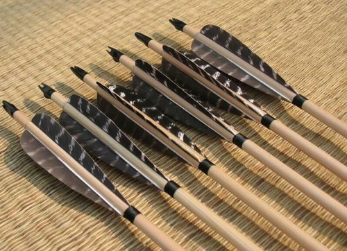Archery wooden arrows - archery,