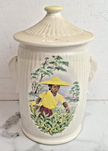 Sylvac tea caddy - caddy, 3372