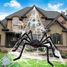 Giant Spider Halloween