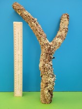 Cork bark branch 41cm snake - bark,