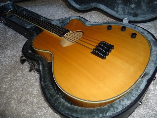 2009 washburn ab40 - washburn,