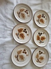 Denby Cotswold Side Plates