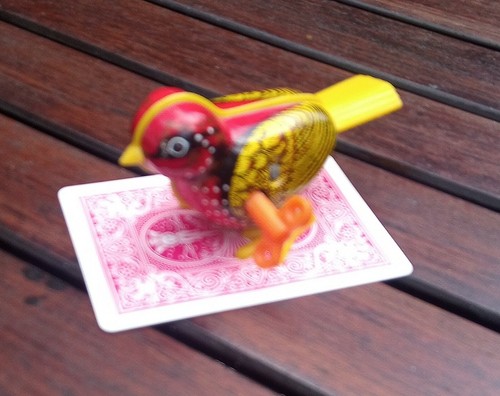 Magic card trick with - card,