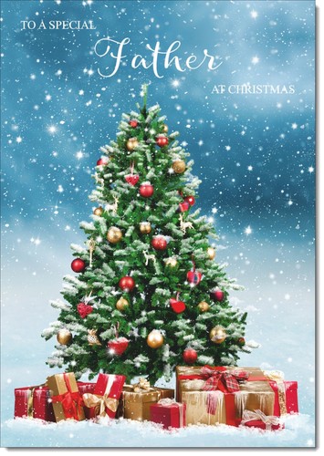 Doodlecards father christmas - father,
