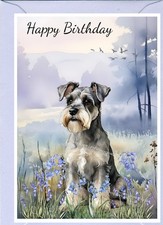 Miniature Schnauzer Dog