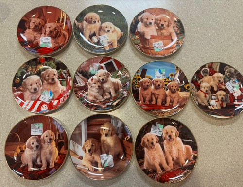 Golden retriever decorative - golden,