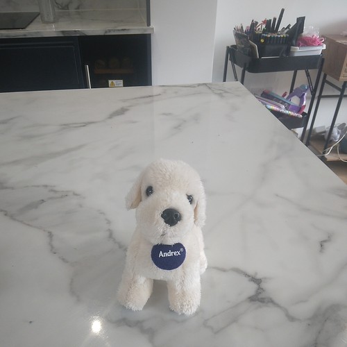 Andrex soft toy - andrex, dog