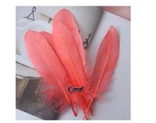 Coupe Feathers 5"-7" Various