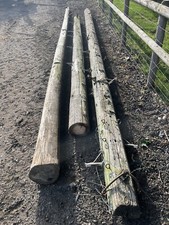 telegraph poles X 3 Job Lot