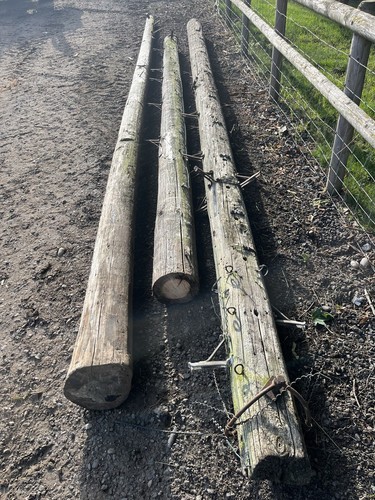 Telegraph poles job lot - telegraph,