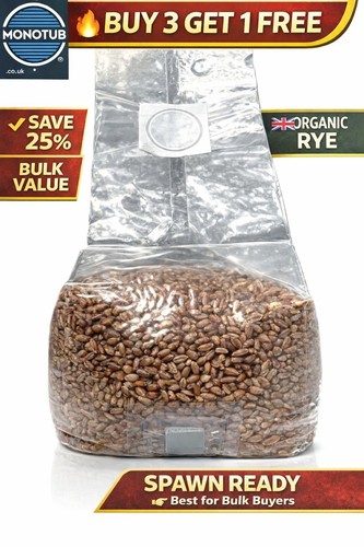 Sterilised rye grain bags - rye,
