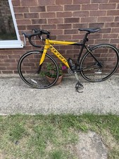 Men’s Carrera Road Pro TDF