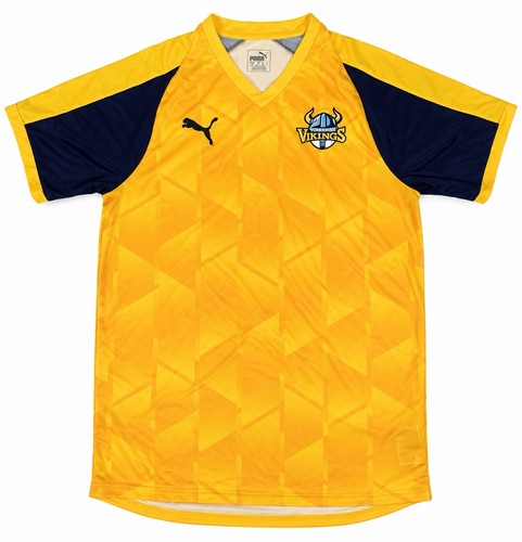 Yorkshire vikings 2020 county - vikings,