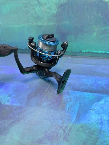 REELS