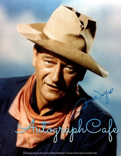 John wayne preprinted - wayne,