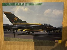 Hasegawa 1/72 Tornado GR1 RAF
