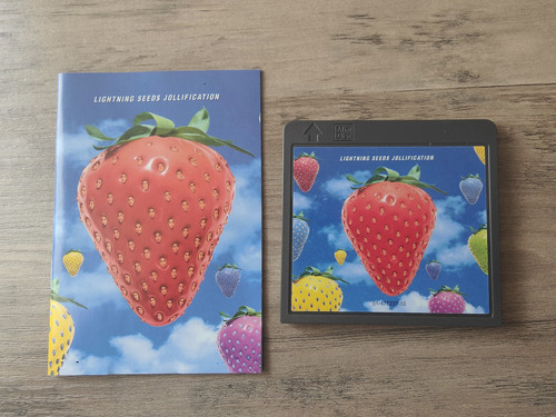 The lightning seeds - lightning,