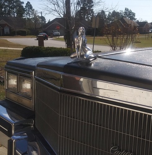 Hood ornament bronze - hood,