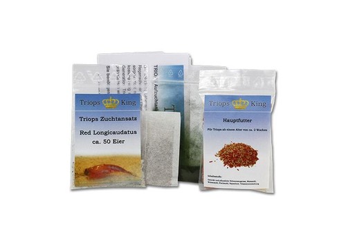 Triops red longicaudatus - triops,