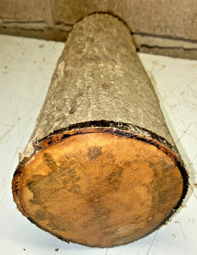 120x120x330mm lot 848a holly - lot,