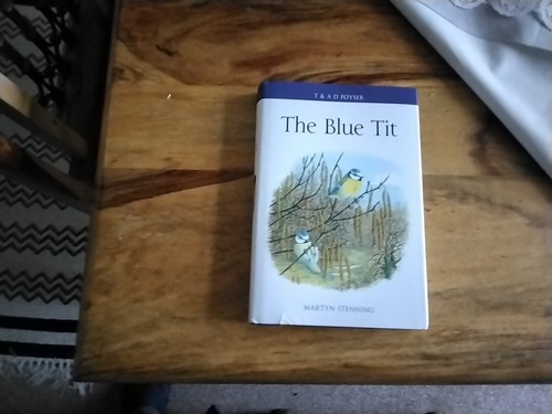 Birds the blue tit poyser - tit,