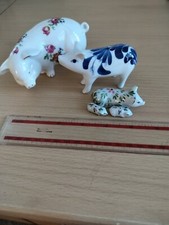 Ornamental pigs China pig