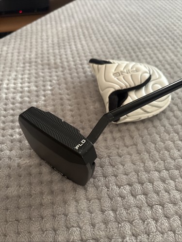 Ping ally blue shaft - 34",