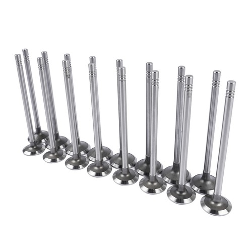 Intake exhaust valves 16x - intake,