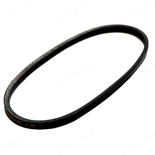 Dynamo belt for international - belt,