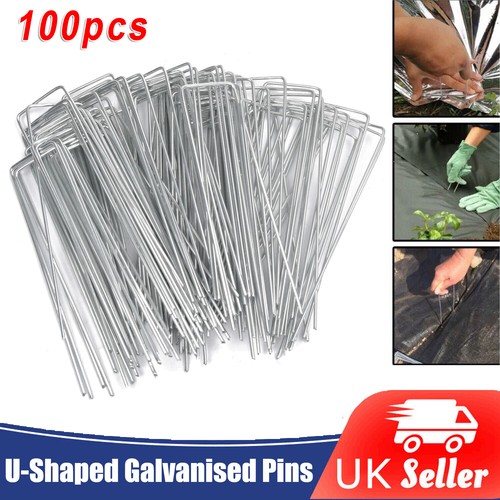 100x galvanised pins - galvanised,