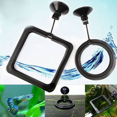 1pc feeding ring aquarium - aquarium, fish
