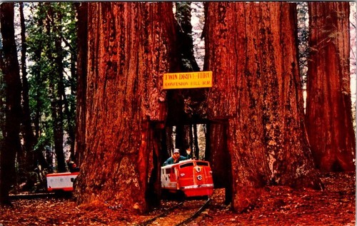 California confusion hill - ca,,