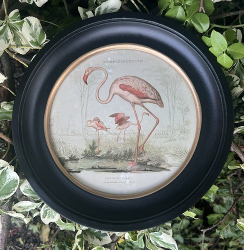 Round framed pink flamingos - round,