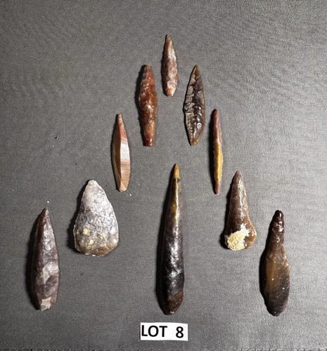 Attributed neolithic sahara - 10,