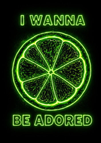 Stone roses music concert - roses,