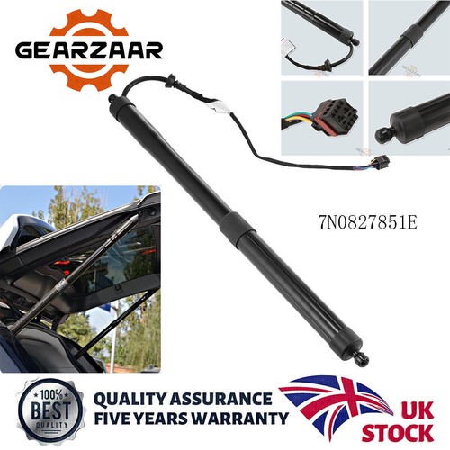 Electric tailgate gas - electric,