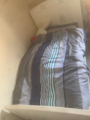 Cot bed - cot,