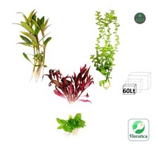 Starting Mixed Bundle 60 Lt