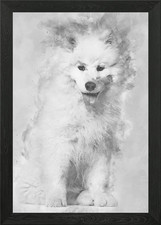 Samoyed puppy sitting agai