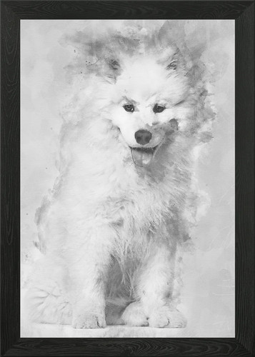Samoyed puppy sitting agai