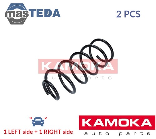 2110099 coil spring pair set - pair,
