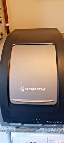 Stratagene mx3000p qpcr - mx3000p,