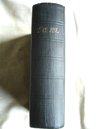 Vintage welsh bible 1946 y - vintage,