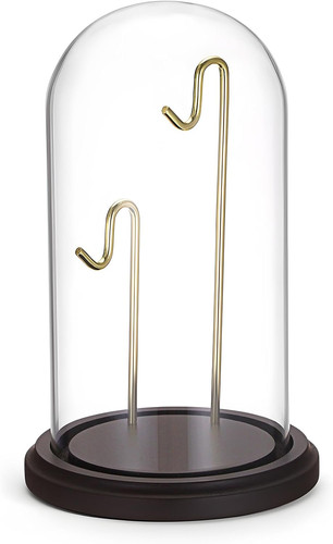 Glass display cloche - display, with