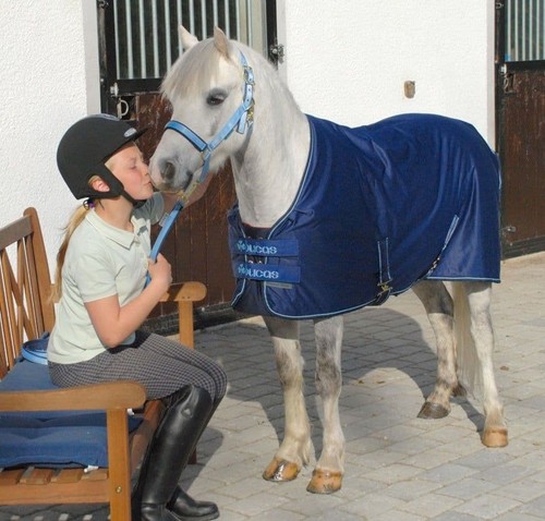 Bucas shamrock power pony - power,