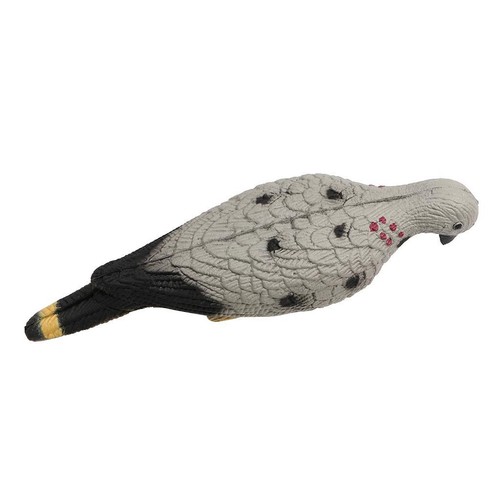 Pigeon decoy shell decoying - decoy,