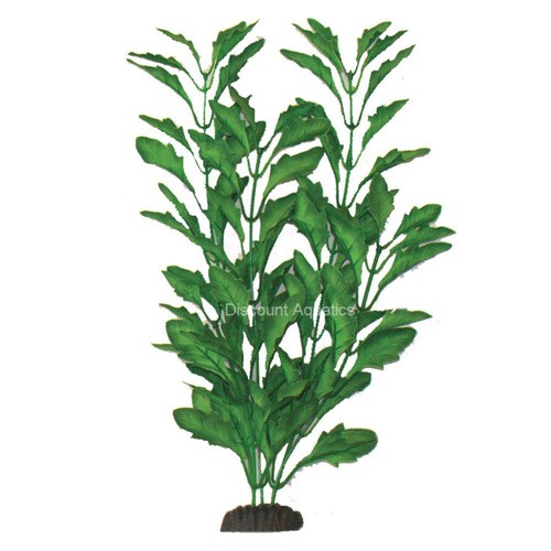 Polysperma green silk - green,