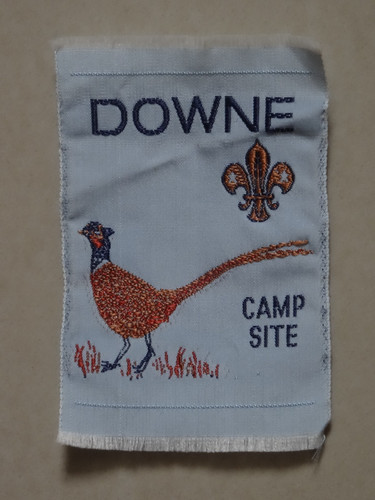 Downe camp site scout - downe,