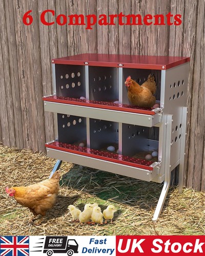 Hole chicken nesting boxes - chicken,